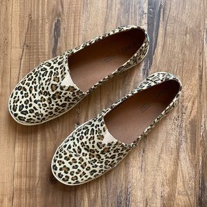 Worn once! Tom’s cheetah print shoes. Size 10